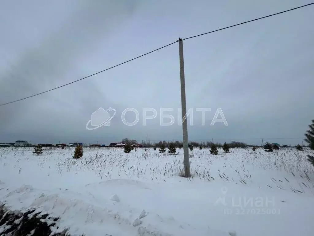 Участок в Тюменская область, Тюменский муниципальный округ, с. Борки  ... - Фото 1