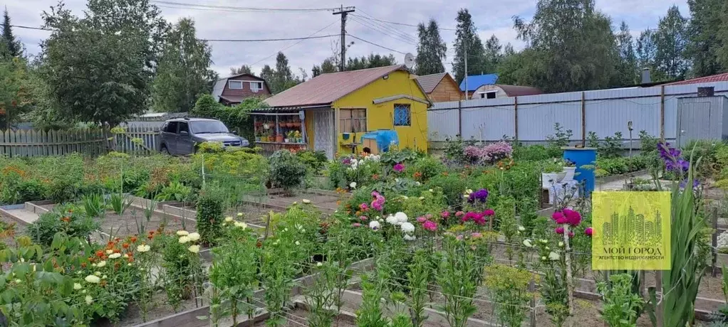 Дом в Ханты-Мансийский АО, Пыть-Ях Таежный СНТ, ул. 3А, 37 (57 м) - Фото 1