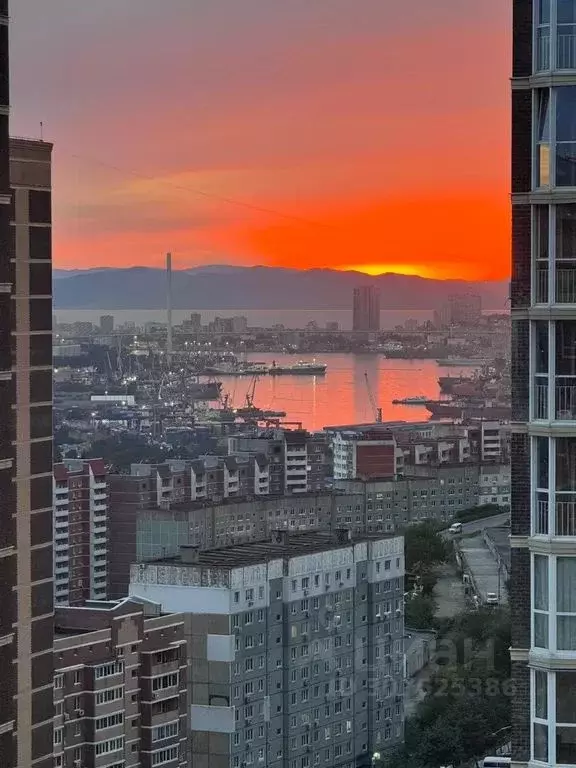 2-к кв. Приморский край, Владивосток ул. Нейбута, 2Ак2 (53.0 м) - Фото 2