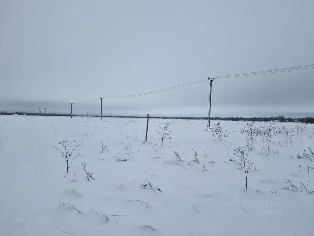 Участок в Новгородская область, Старорусский район, Наговское с/пос, ... - Фото 0