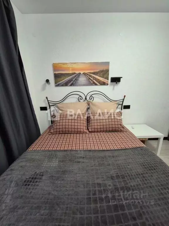 1-к кв. Калининградская область, Светлогорск Дачная ул., 6к1 (29.2 м) - Фото 2