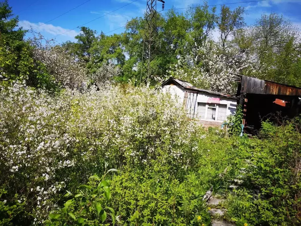 Дом в Свердловская область, Екатеринбург Яблочко СНТ, 8 (49 м) - Фото 1