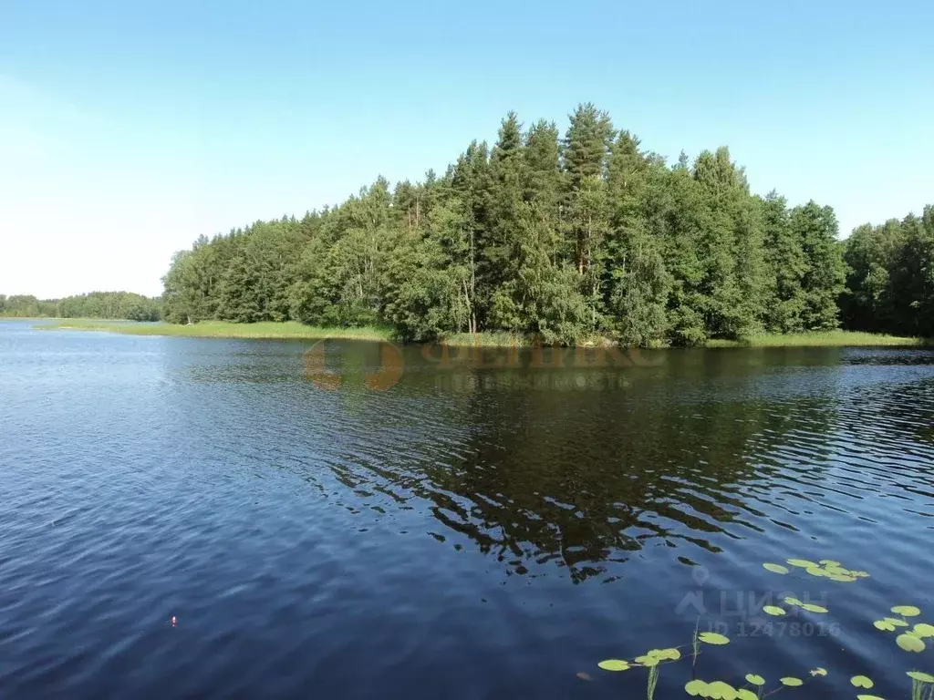 Участок в Ленинградская область, Приозерский район, Мельниковское ... - Фото 0