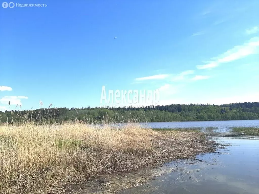 Участок в Республика Карелия, Лахденпохский муниципальный округ, ... - Фото 1