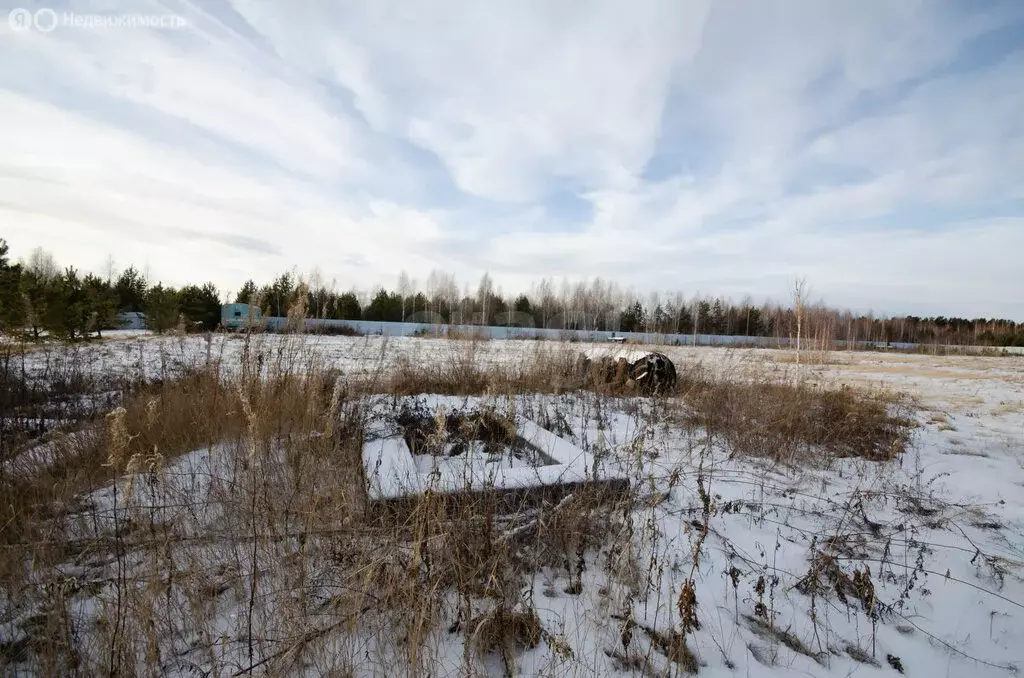 Участок в село Сингуль Татарский, Вербная улица (17.67 м) - Фото 2