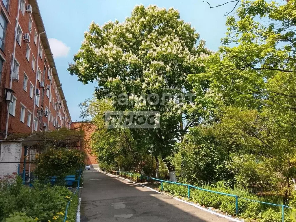 3-к кв. Адыгея, Майкоп Пионерская ул., 374А (60.5 м) - Фото 1