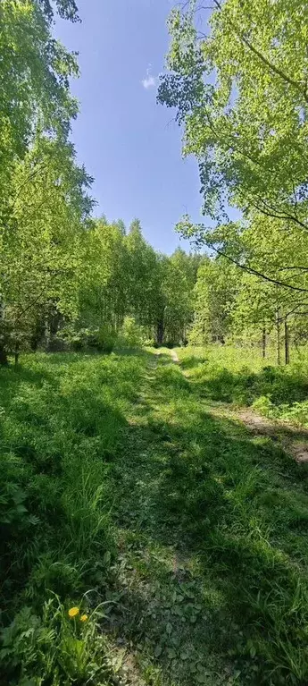Участок 15 сот. (ИЖС) - Фото 1