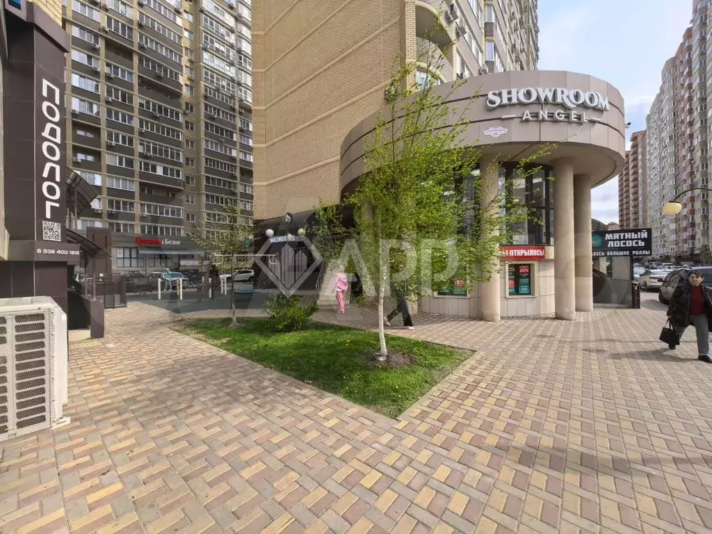 Продам готовый арендный бизнес, 36.6 м - Фото 1