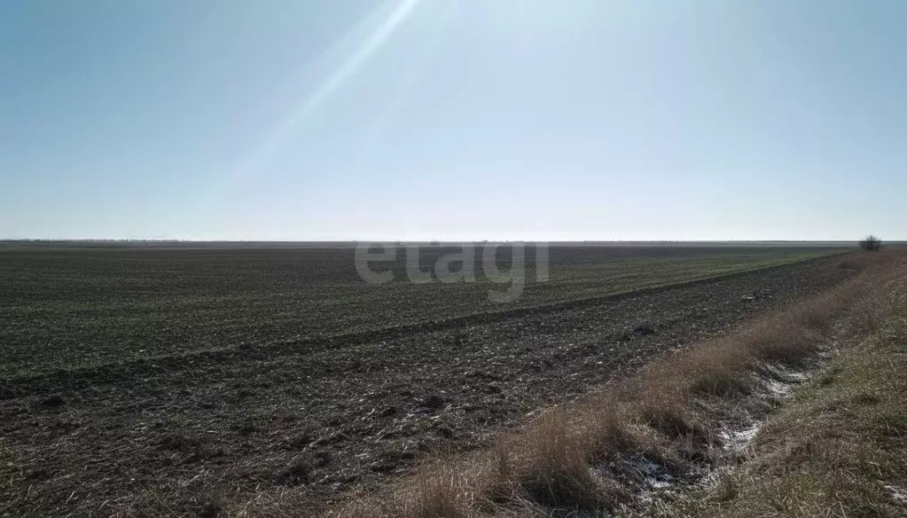 Участок в Крым, Сакский район, Лесновское с/пос, с. Гаршино  (682.0 ... - Фото 2