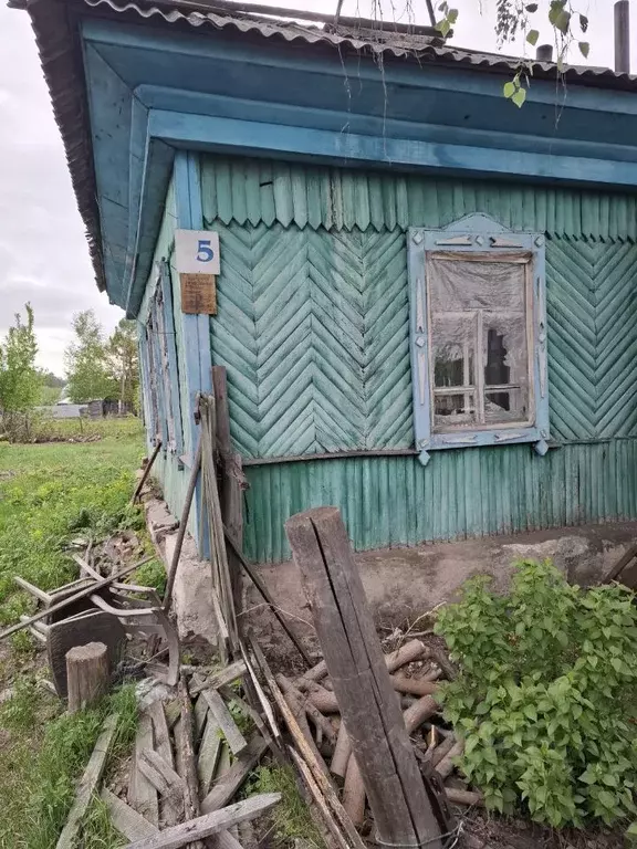 Дом в Алтайский край, Барнаул городской округ, пос. Ягодное пер. ... - Фото 1