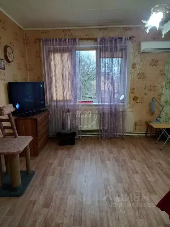 2-к кв. Калининградская область, Калининград Александра ... - Фото 2