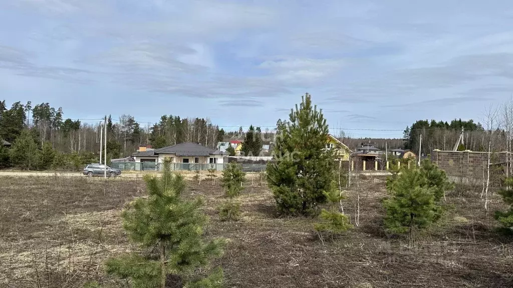 Участок в Московская область, Щелково городской округ, д. Вторая ... - Фото 2