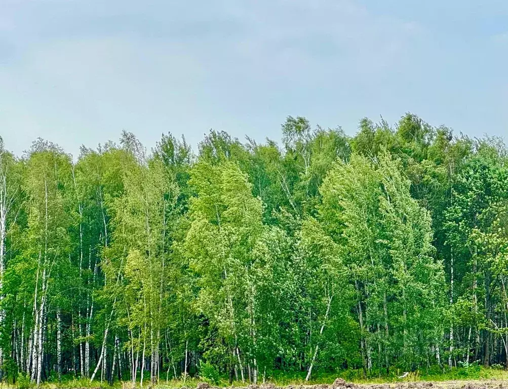 Участок в Московская область, Красногорск городской округ, д. ... - Фото 1