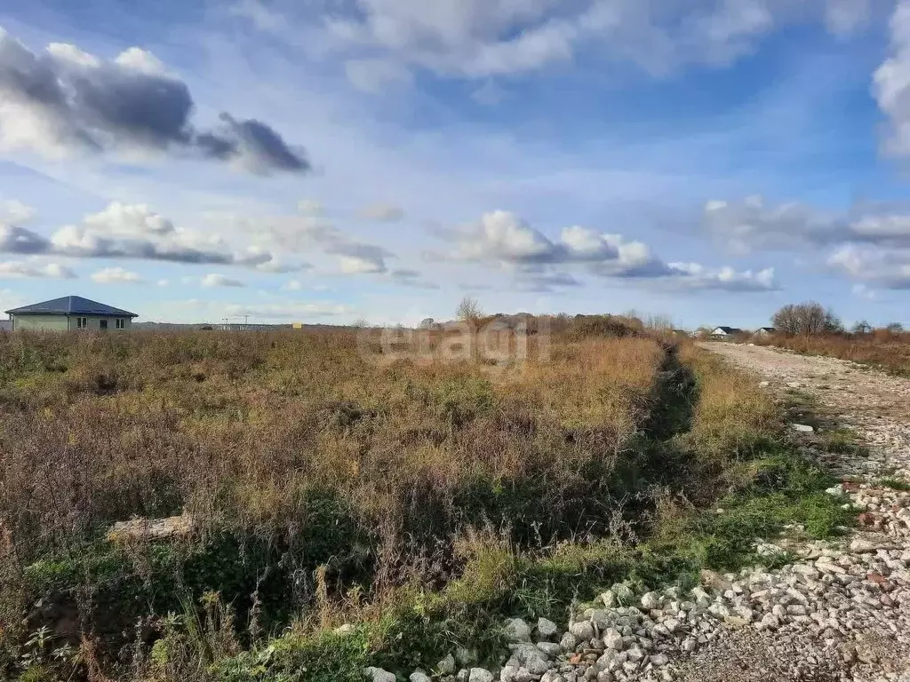 Участок в Калининградская область, Зеленоградск пос. Сосновка, ул. ... - Фото 1