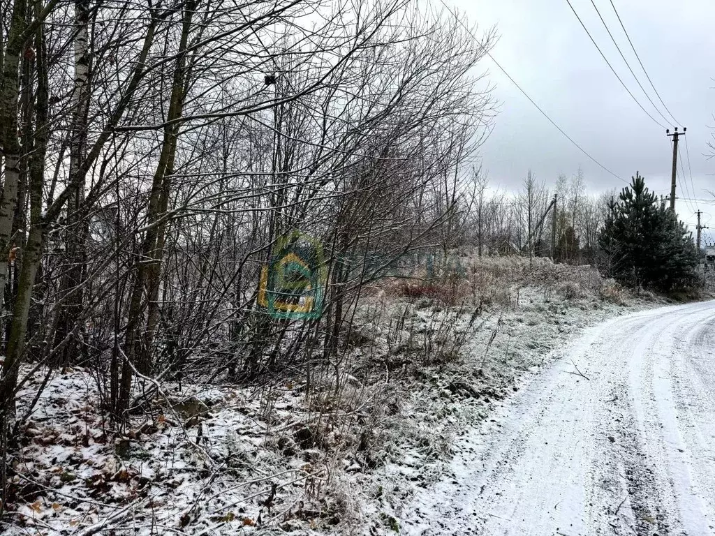 Участок в Ленинградская область, Приозерский район, Красноозерное ... - Фото 0