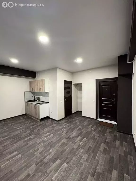 Квартира-студия: Нижний Новгород, проспект Ильича, 15 (23.5 м) - Фото 2