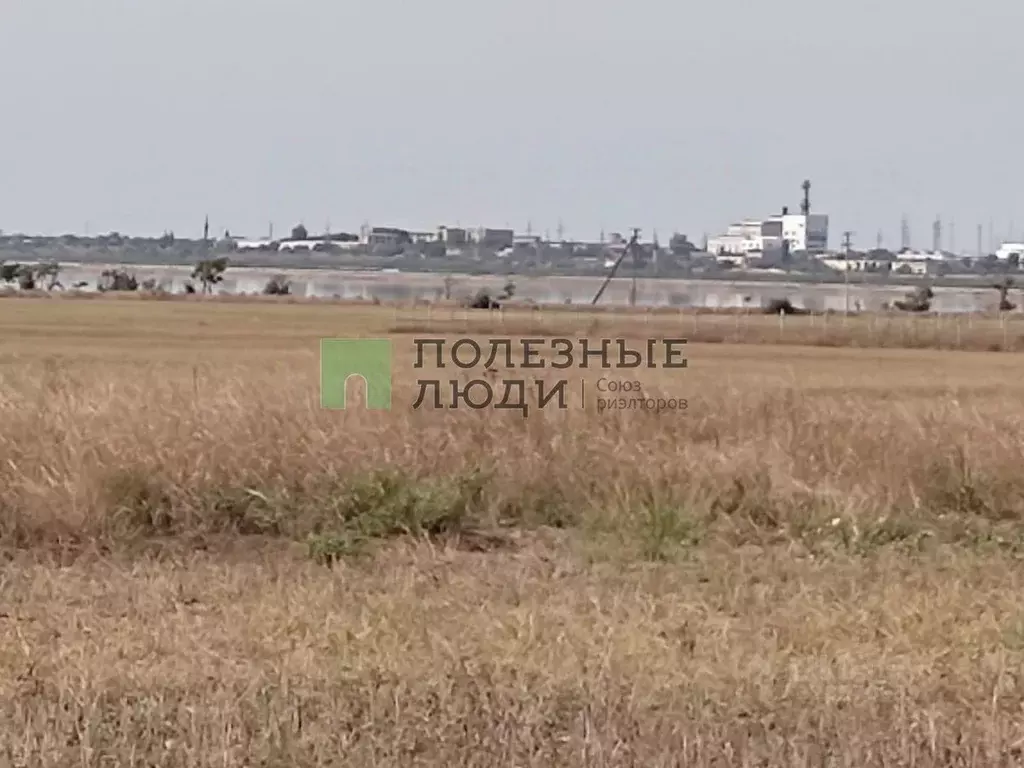 Участок в Крым, Сакский район, Штормовское с/пос, с. Приветное ул. ... - Фото 1