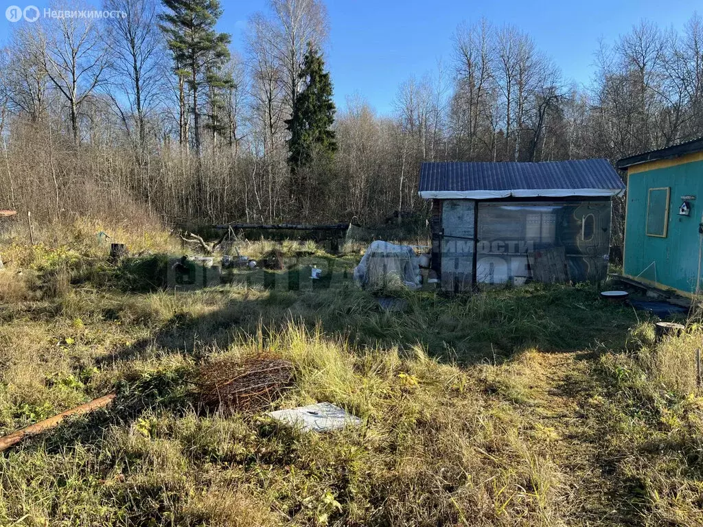 Участок в Смоленский муниципальный округ, территория СНТ Строитель ... - Фото 2