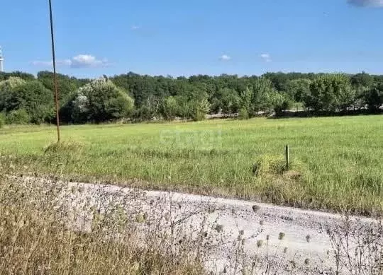 Участок в Краснодарский край, Новороссийск городской округ, Раевская ... - Фото 1