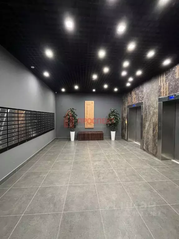 Студия Пензенская область, Пенза ул. Измайлова, 46 (19.7 м) - Фото 1