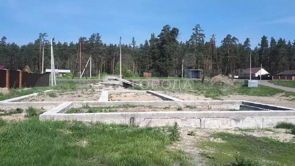 Участок 12 сот. (ИЖС) - Фото 1