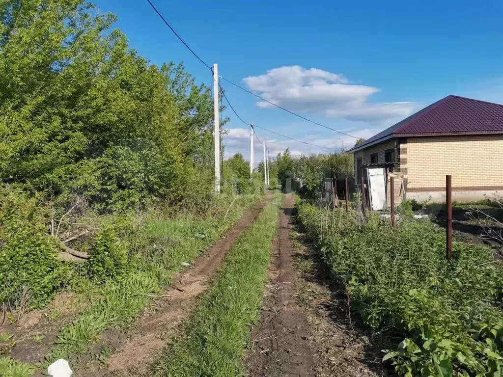 Участок 6,3 сот. (СНТ, ДНП) - Фото 0