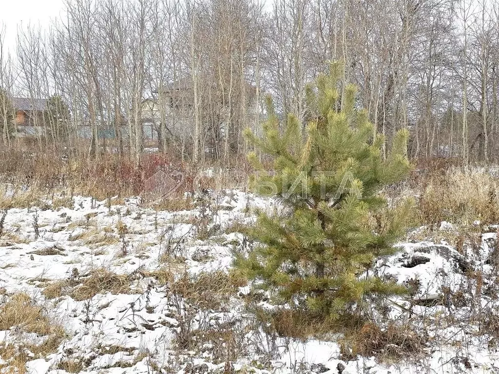 Участок в Тюменская область, Тюмень Ирбитский Тракт 3-й км от ... - Фото 0