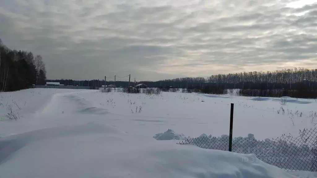 Участок в Московская область, Дмитровский городской округ, с. Борисово ... - Фото 0