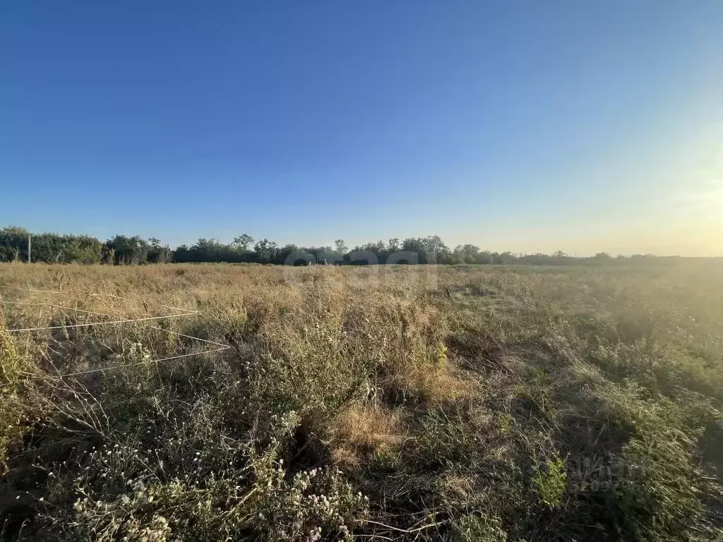 Участок в Ростовская область, Аксайский район, Щепкинское с/пос, пос. ... - Фото 0