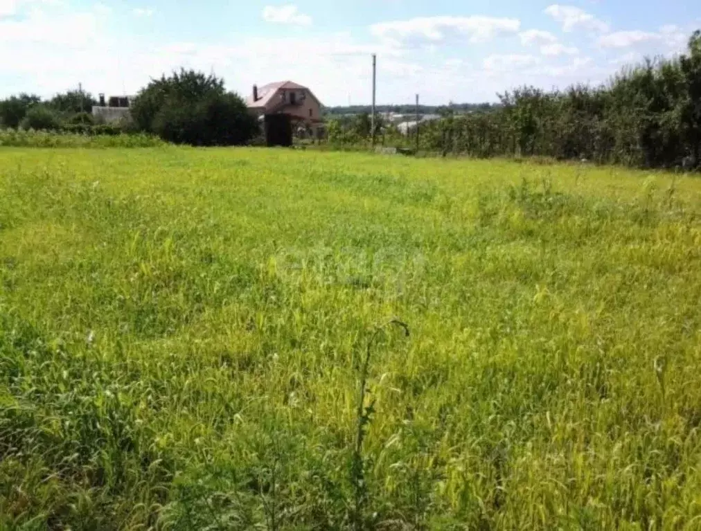 Участок в Красноярский край, Сосновоборский муниципальный округ, д. ... - Фото 1