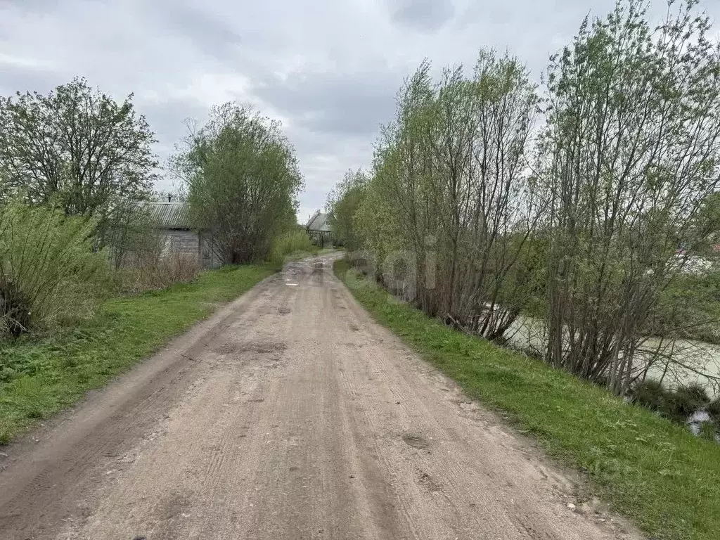 Участок в Архангельская область, Холмогорский муниципальный округ, д. ... - Фото 1