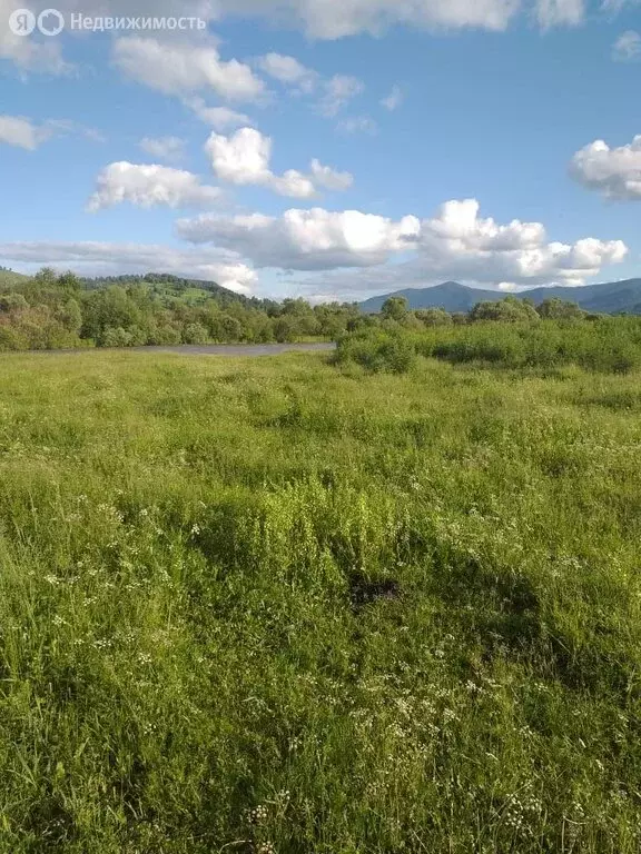 Участок в Алтайский район, село Куяган (560 м) - Фото 2