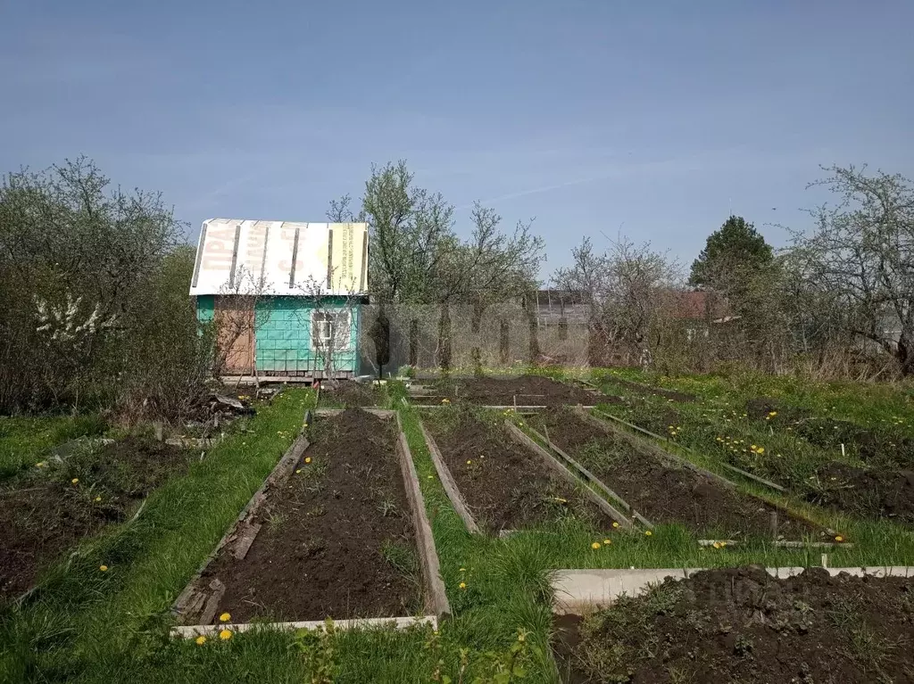 Дом в Вологодская область, Сокол Бережок садовое товарищество,  (25 м) - Фото 1