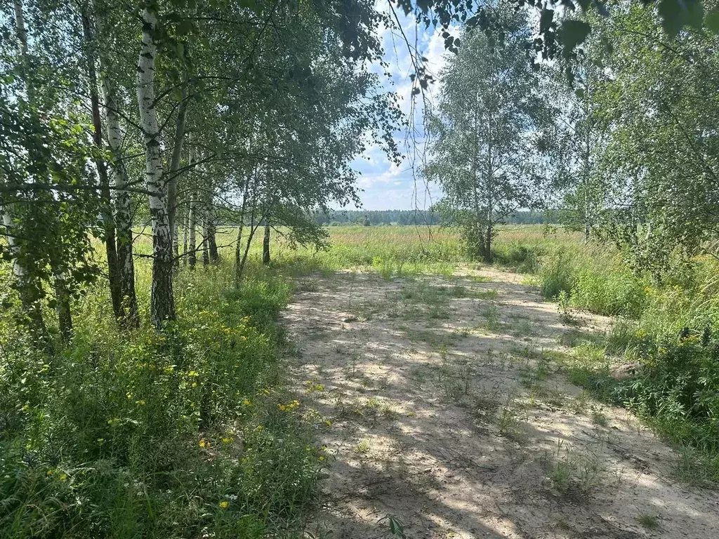Участок в Московская область, Богородский городской округ, имени ... - Фото 1