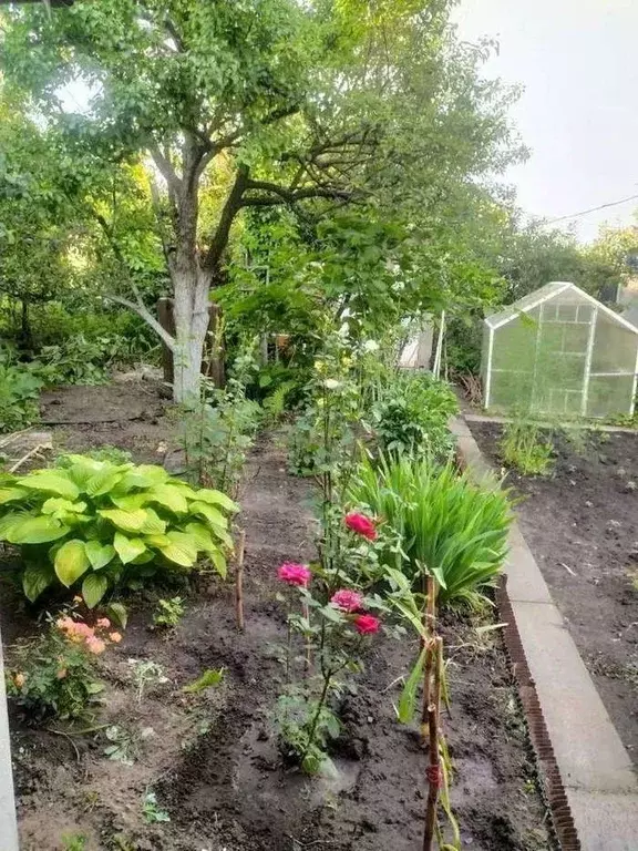 Дом в Белгородская область, Старый Оскол СНТ Кукушкин хут., 404 (46 м) - Фото 2