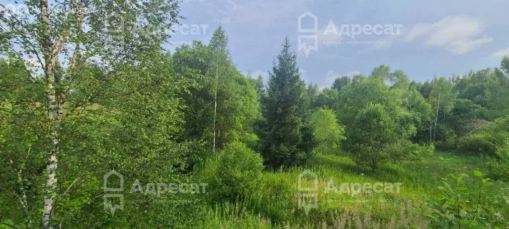Участок в Московская область, муниципальный округ Шаховская, деревня ... - Фото 1
