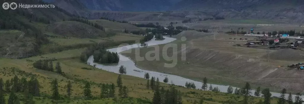 Участок в Улаганский район, село Чибит (50.04 м) - Фото 1
