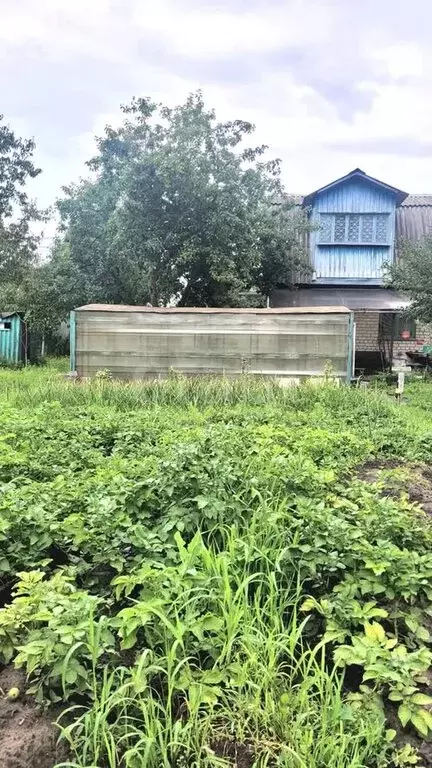 Дом в Толмачево, СДТ Связист (32 м) - Фото 1