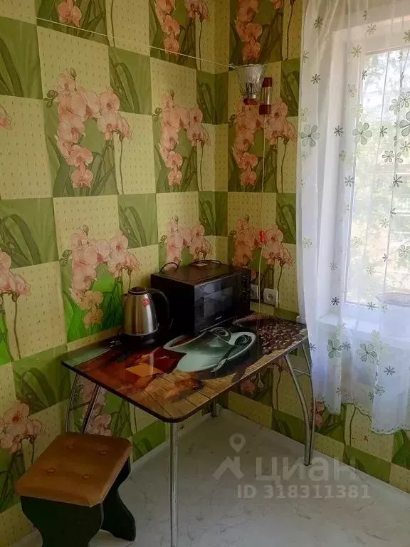 1-к кв. Пермский край, Березники ул. Веры Бирюковой, 12 (32.0 м) - Фото 1