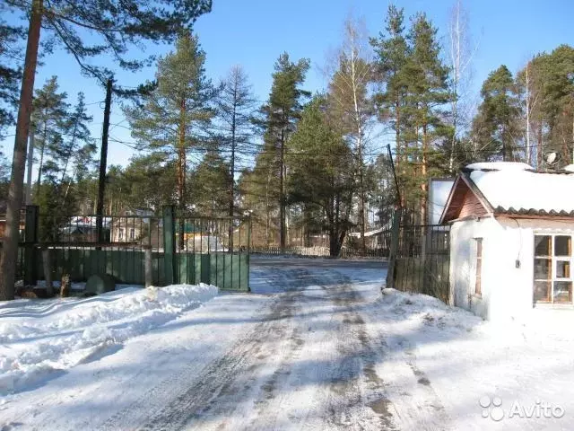 Офис в Ленинградская область, Гатчинский район, Вырица городской ... - Фото 0