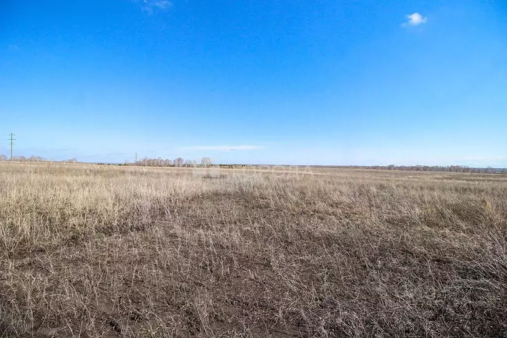 Участок в Алтайский край, Барнаул городской округ, пос. Центральный, ... - Фото 0