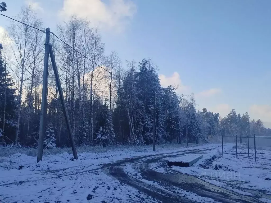 Участок в Московская область, Богородский городской округ, Восточная ... - Фото 2