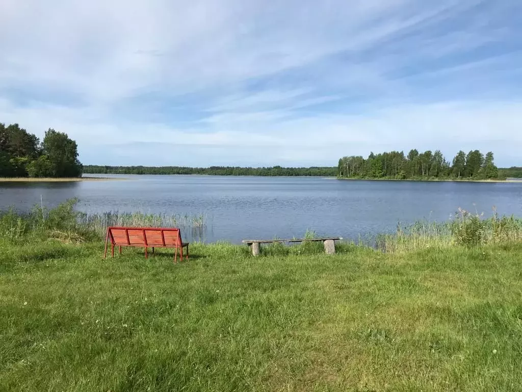 Участок в Тверская область, Осташковский городской округ, д. Турская  ... - Фото 0