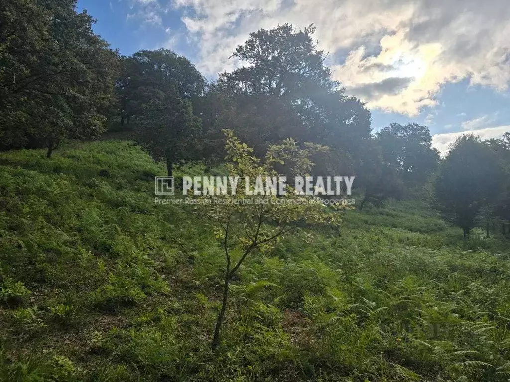 Участок в Краснодарский край, Сочи ул. Ворошиловградская (35.0 сот.) - Фото 1