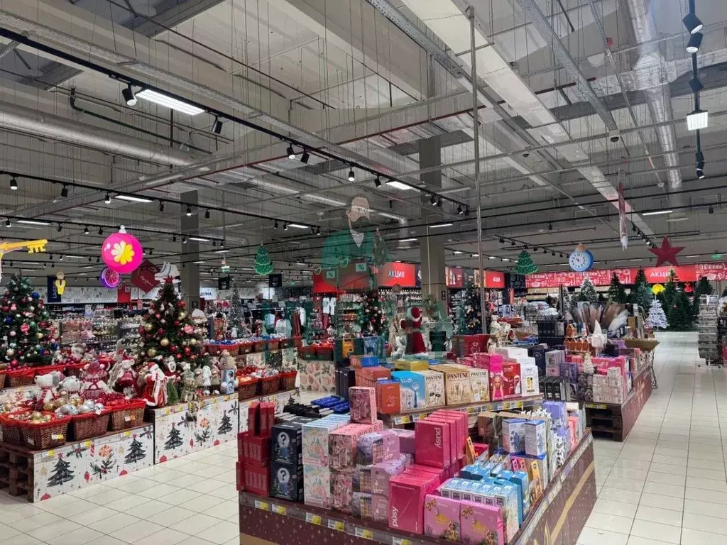 Склад в Московская область, Красногорск городской округ, Отрадное пгт ... - Фото 1