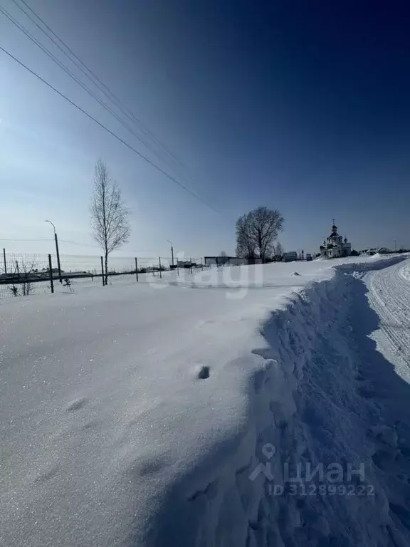 Участок в Алтайский край, Целинный район, с. Бочкари Молодежная ул., ... - Фото 1