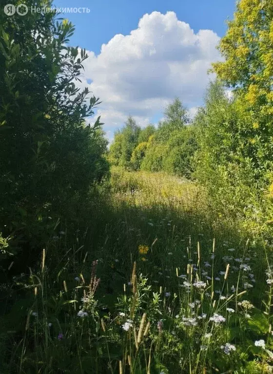 Участок в Тюменская область, село Уват (12.3 м) - Фото 2