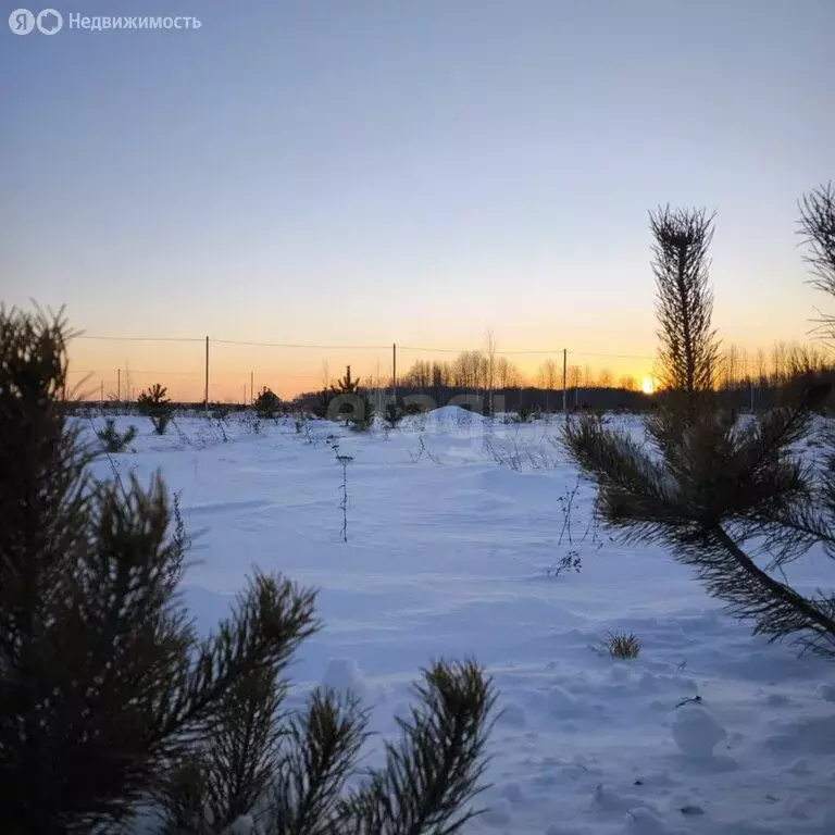 Участок в Тюменский район, село Кулига, микрорайон Кулига-2 (6.49 м) - Фото 0