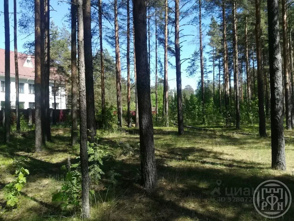 Участок в Ленинградская область, Всеволожск ш. Южное (18.0 сот.) - Фото 1