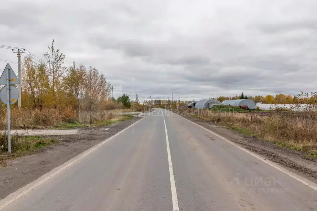 Участок в Тюменская область, Тюменский муниципальный округ, с. Каскара ... - Фото 2